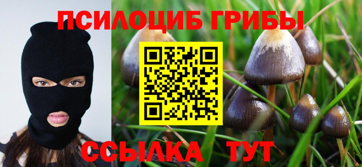 Псилоцибиновые грибы ЛСД  Вход с VPN  Ярцево 