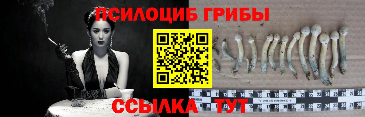 Галлюциногенные грибы Cubensis Ярцево